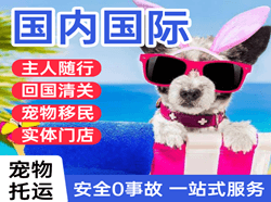 扬州机场空运国际宠物托运 【国